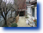 deck hapjungdong 010047.jpg